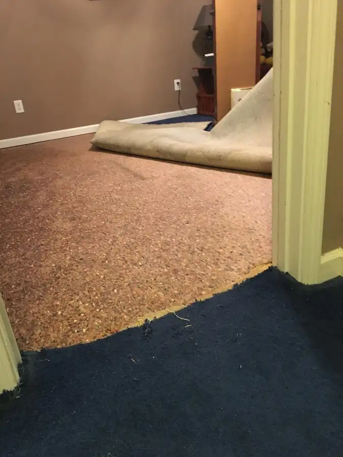 Carpet pad removal revealing water damage during Drying & Dehumidification in Bothell West