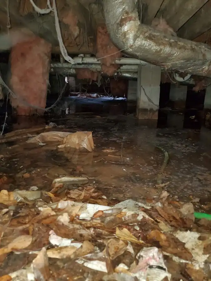 Crawl space flood assessment for Leak Detection & Repair in Bothell West